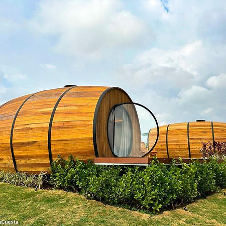 Villa Dejota Pardinho Dış mekan fotoğraf